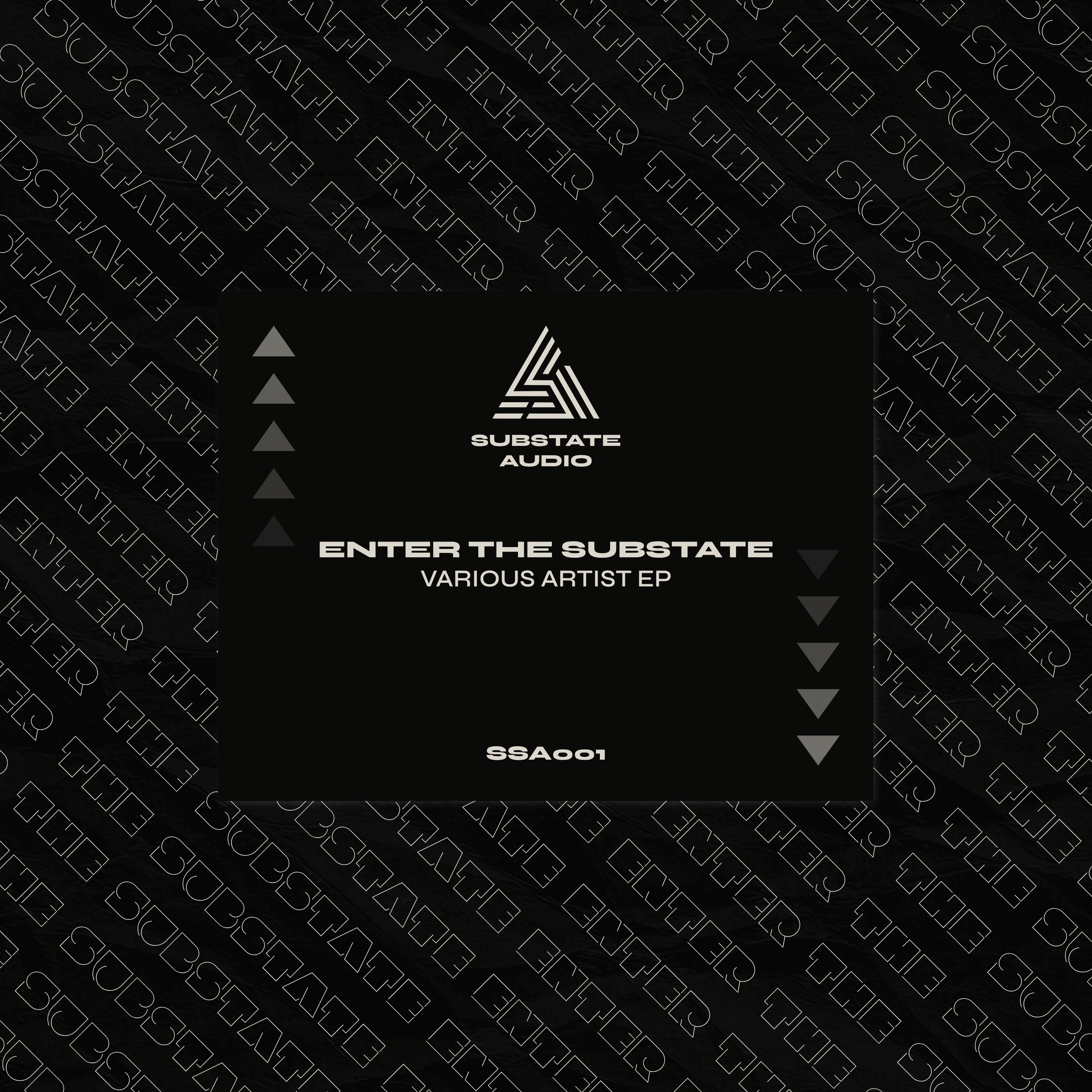 Enter The Substate by Various Artists